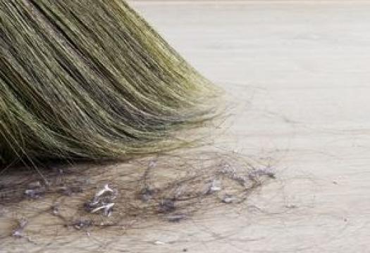broom sweeping up