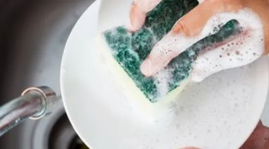 kitchen sponge