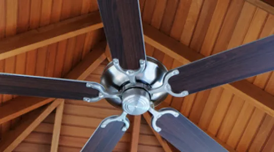 Fan