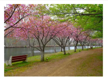 Roxbury Park NJ